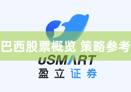 巴西股票概览 策略参考