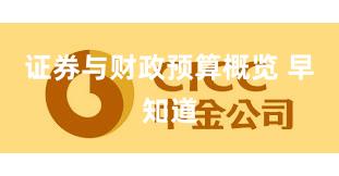 证券与财政预算概览 早知道